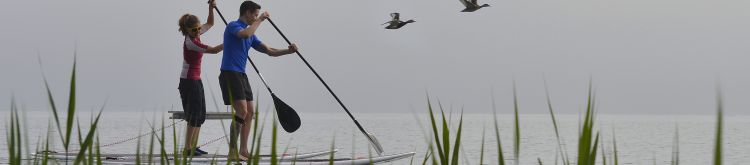 SUP auf dem Bodensee