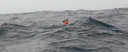 dscn2817a.jpg